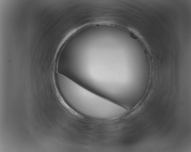 X0000081450941200701121011
