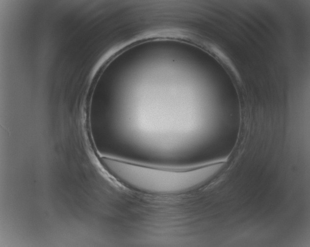 X0000081450944200701121011