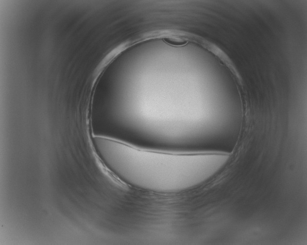 X0000081450954200701121011