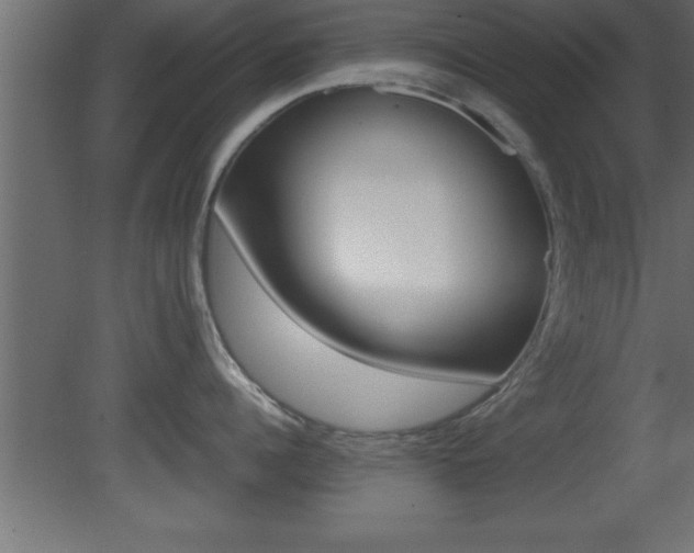 X0000081450960200701121011