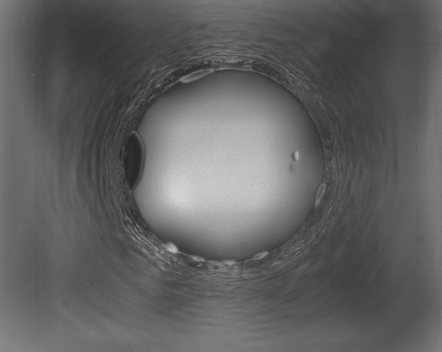 X0000081450961200701121010