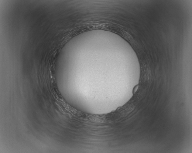 X0000081450962200701121010
