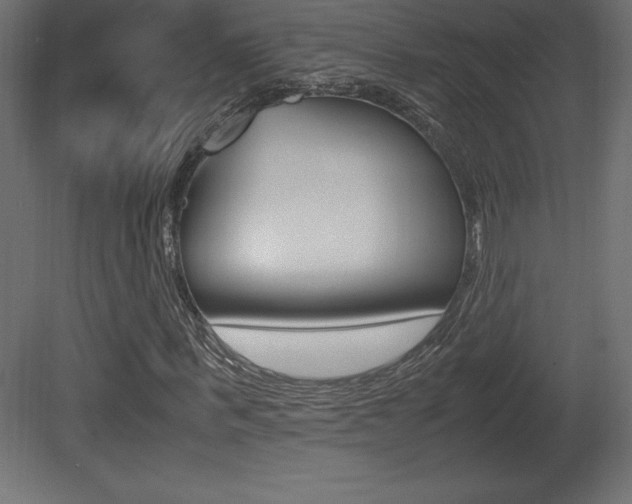 X0000081450963200701121010