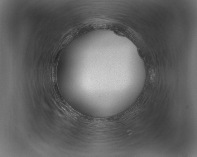X0000081450964200701121010