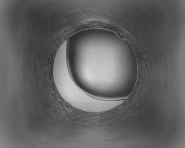 X0000081450965200701121010