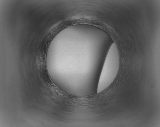 X0000081450966200701121010