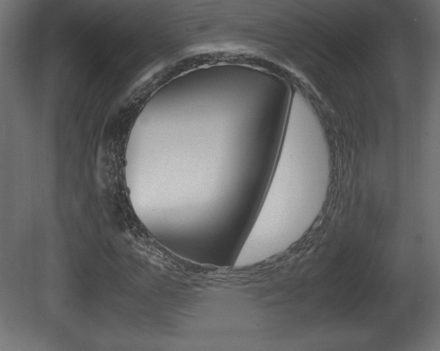 X0000081450967200701121010