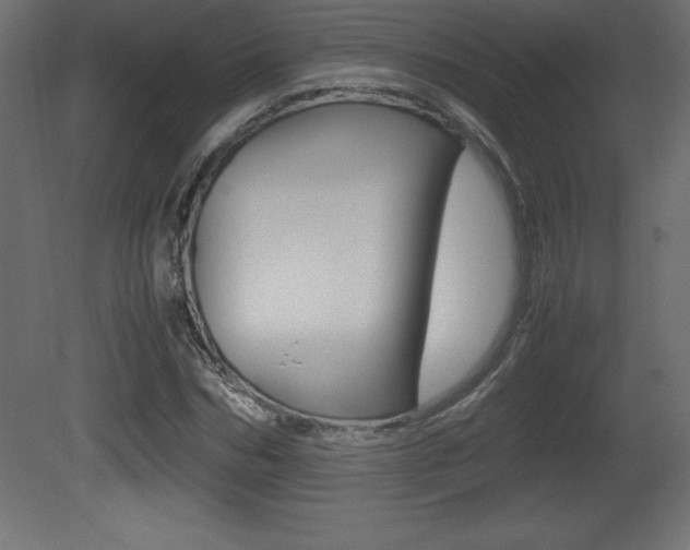 X0000081450970200701121010