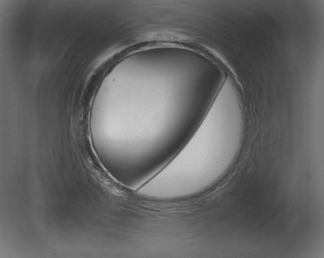 X0000081450971200701121010