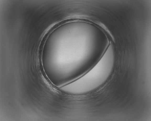 X0000081450972200701121010