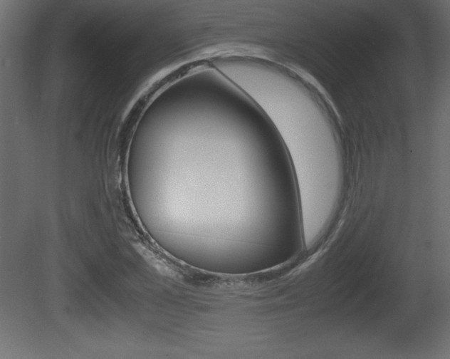 X0000081450973200701121010
