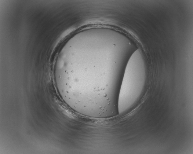 X0000081450974200701121010