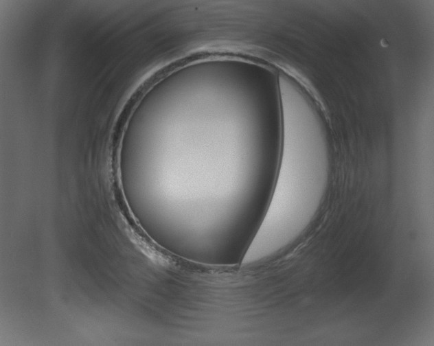 X0000081450976200701121010