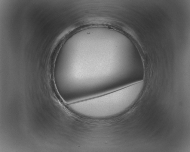 X0000081450979200701121010