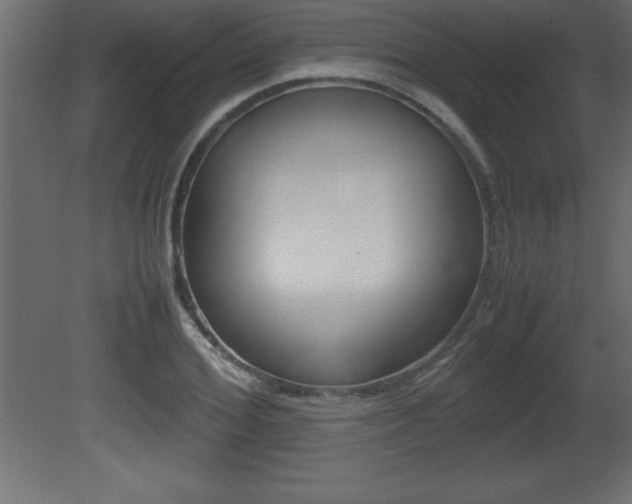 X0000081450980200701121010