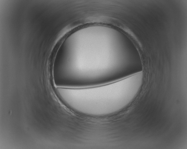 X0000081450983200701121010