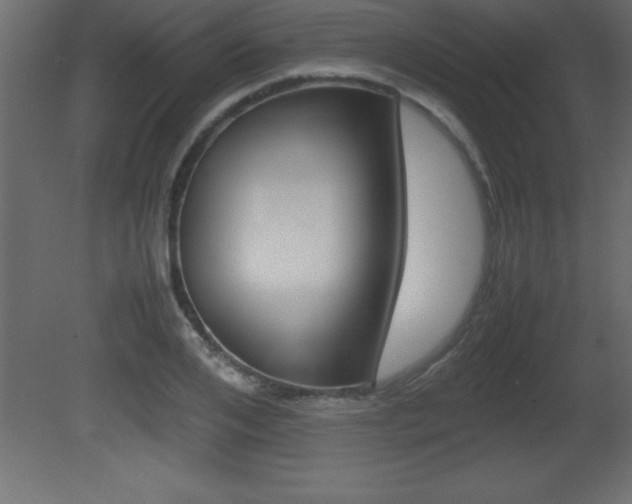 X0000081450984200701121010