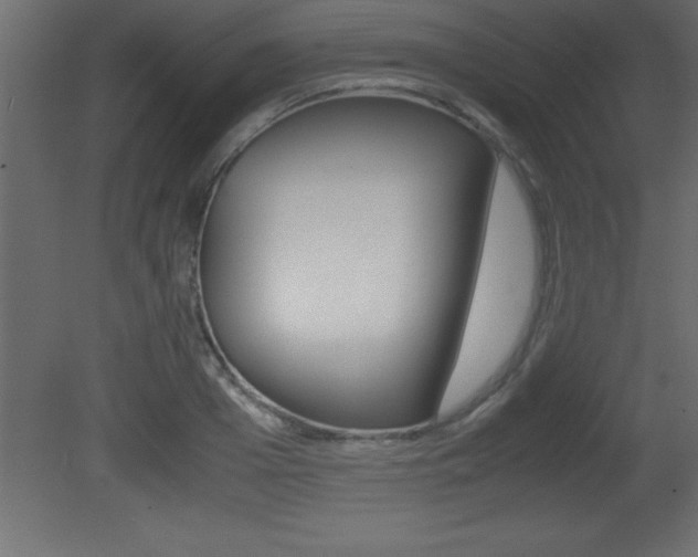 X0000081450985200701121010