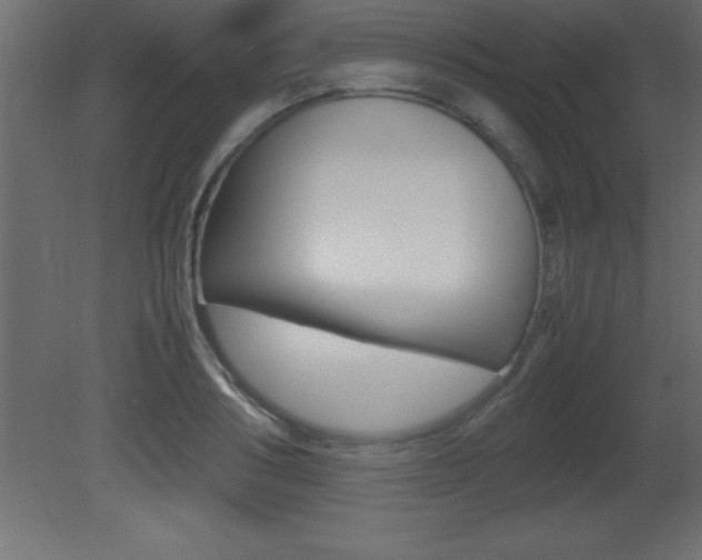 X0000081450986200701121010