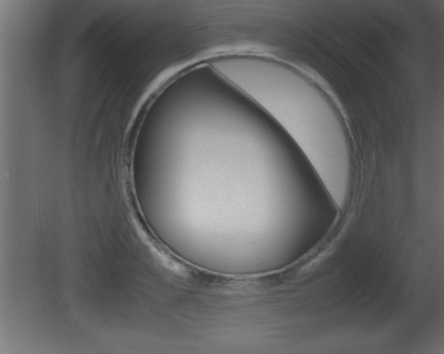X0000081450989200701121010