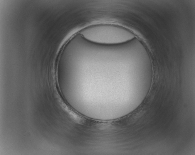 X0000081450990200701121010