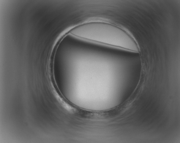 X0000081450995200701121010