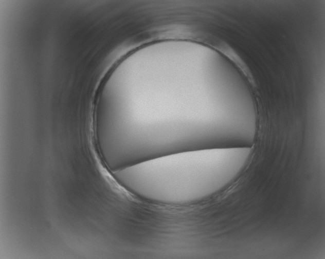 X0000081451000200701121010