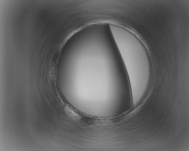 X0000081451001200701121010