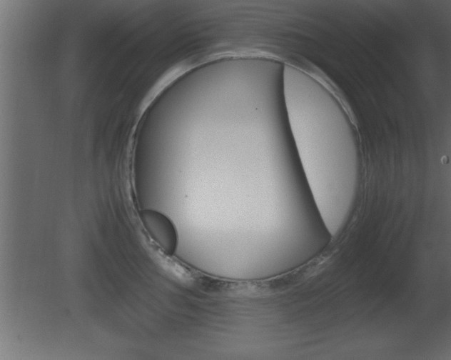X0000081451002200701121010