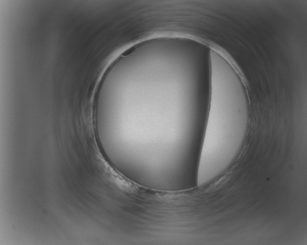 X0000081451004200701121010