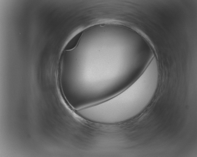 X0000081451007200701121010