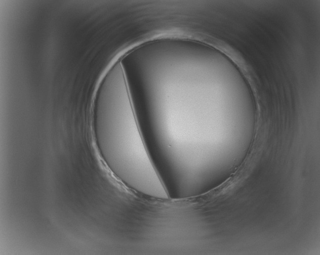 X0000081451008200701121010