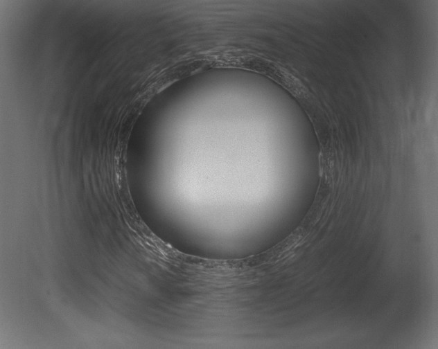 X0000081451010200701121009