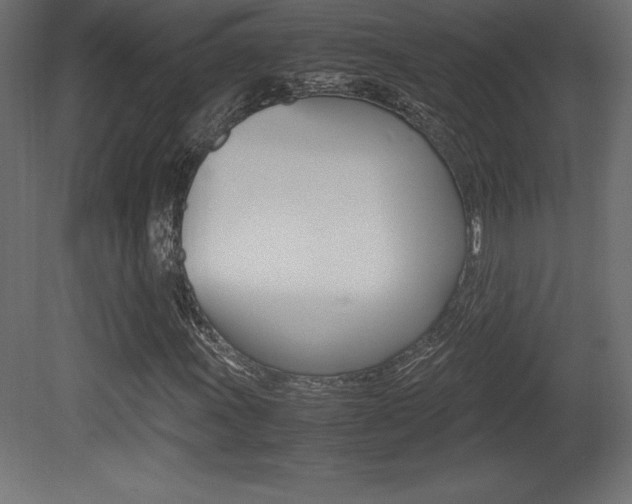 X0000081451011200701121009