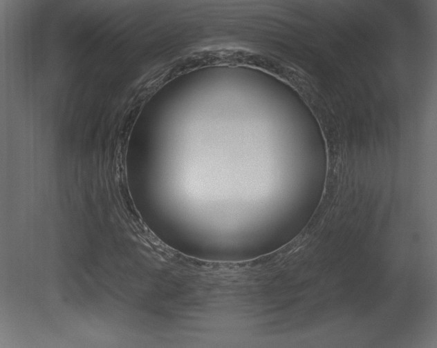 X0000081451014200701121009