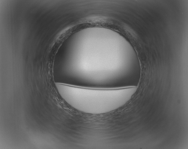 X0000081451016200701121009