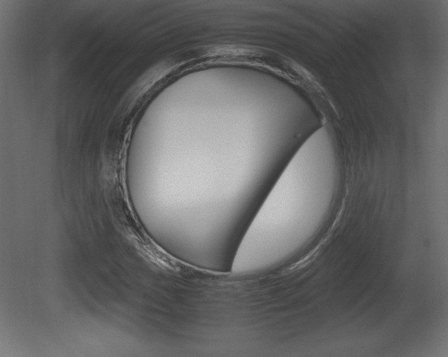 X0000081451017200701121009