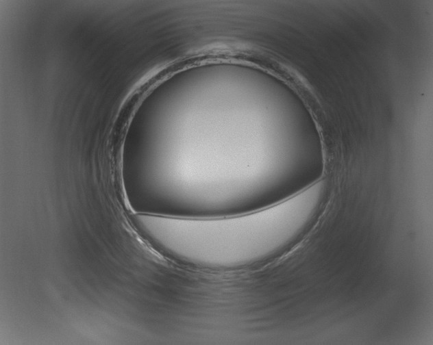 X0000081451018200701121009