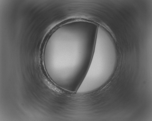 X0000081451020200701121009