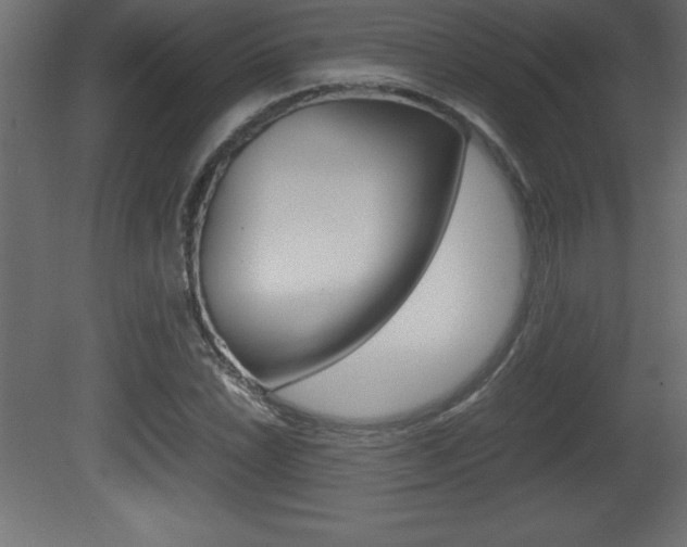 X0000081451022200701121009