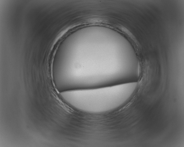 X0000081451023200701121009
