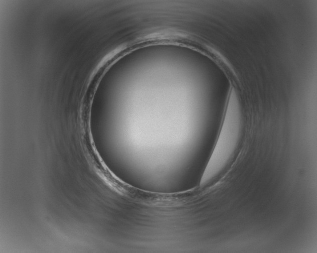 X0000081451026200701121009
