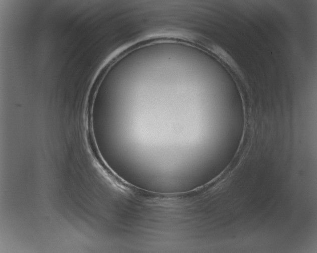 X0000081451028200701121009