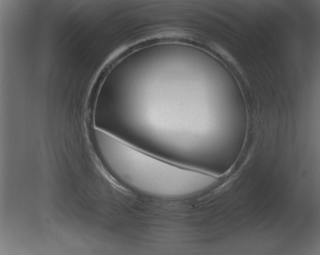 X0000081451029200701121009