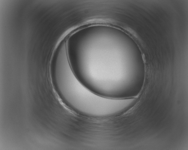 X0000081451030200701121009