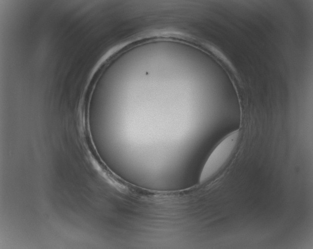 X0000081451032200701121009