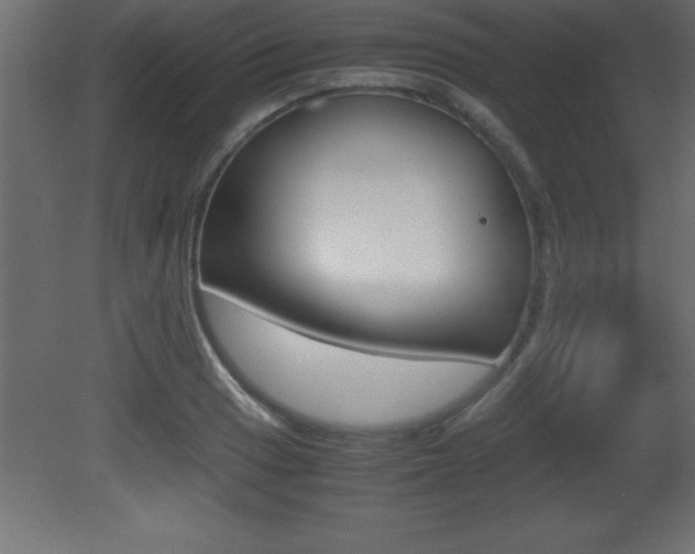 X0000081451033200701121009
