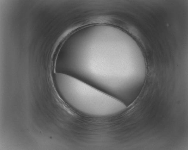 X0000081451035200701121009