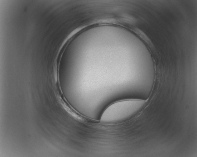 X0000081451036200701121009