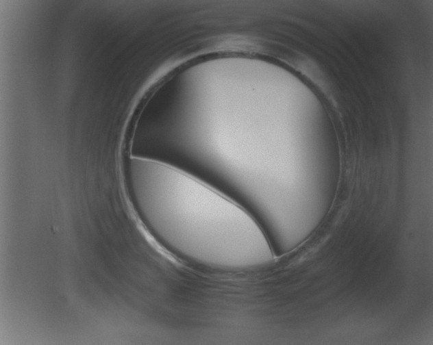 X0000081451037200701121009